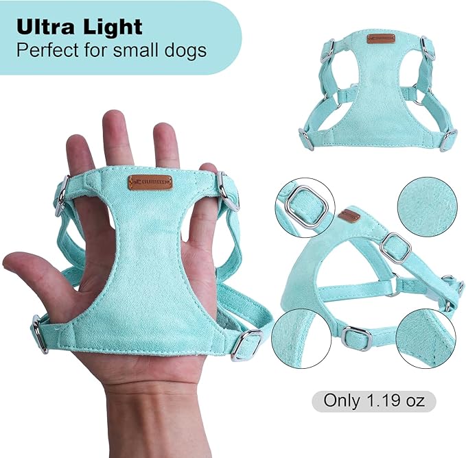 Dog Harness and Leash Set, XXS No Pull Adjustable Puppy Harness with Multifunction Pink Dog Leash and Dog Collar, Soft No Choke Escape Proof Pet Harness Vest for Small Dogs and Cats (Mint Green, S)