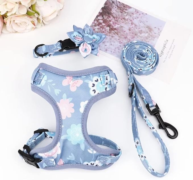 Beirui Cute Girl Dog Collars, Harnesses & Leashes Set - Adjustable Dog Collar and Leash Set with Flower - Soft Mesh Dog Vest Harness for Puppies Small & Extra Small Dogs Cats (Purple,XXS)