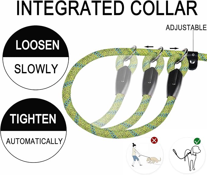 6 FT Heavy Duty Dog Leash, Durable Premium Quality Strong Training Rope Slip Leash with Comfortable Padded Handle and Highly Reflective Threads for Small Medium and Large Dogs, (Blue Green)