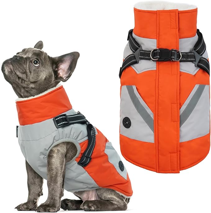 IECOii Dog Winter Coat Waterproof - Orange, Medium - Dog Coat with Harness Built in for Medium Dogs, Thermal Warm Fleece Lined with Zip Up Cold Weather Jacket,Reflective Snowsuit for Outdoor Hiking