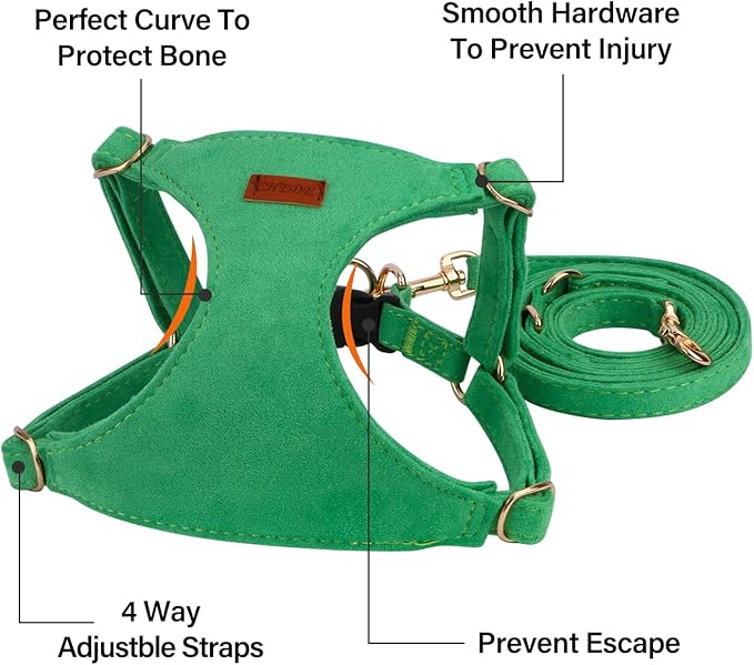 CHEDE No Pull Puppy Harness and Multifunction Dog Leash Set- 8 Colors Soft Adjustable No Choke Escape Proof Cute,Lightweight Pet Vest Harness for Small and Medium Dog (M, Green)