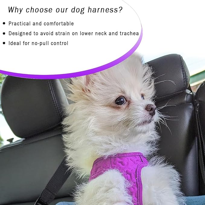 Comfort Fit Dog Harness Small Medium Sized Dogs No Pull Step in Dog Harness with Adjustable Buckles Soft Padded Easy Control Vest Harness Training Walking Running Extra Comfort Inside Velvet Plush