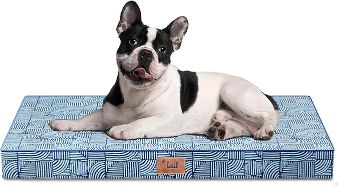 Outdoor Orthopedic Dog Bed for Medium Dogs & Cats, Waterproof Flat Pet Mat with Egg Crate Foam & Washable Removable Oxford Cover, 30x20 Inch, White Blue