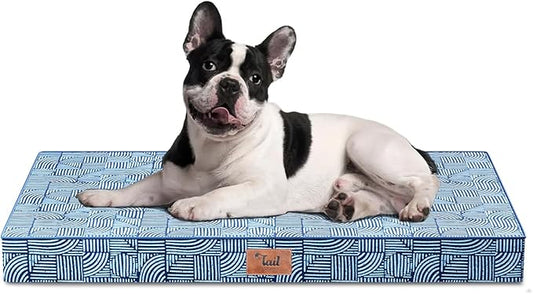 Outdoor Orthopedic Dog Bed for Medium Dogs & Cats, Waterproof Flat Pet Mat with Egg Crate Foam & Washable Removable Oxford Cover, 30x20 Inch, White Blue