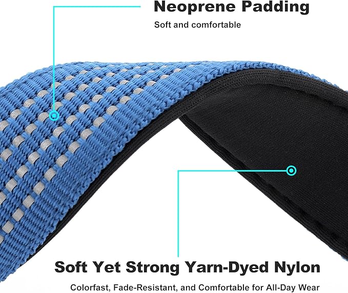 Plutus Pet Tactical Dog Collar with Tracker Packet for AirTag, Adjustable Reflective Nylon Collar, Metal Buckle, Leather-Wrapped Handle, Soft Padded for Medium Large Dogs (Blue, M)