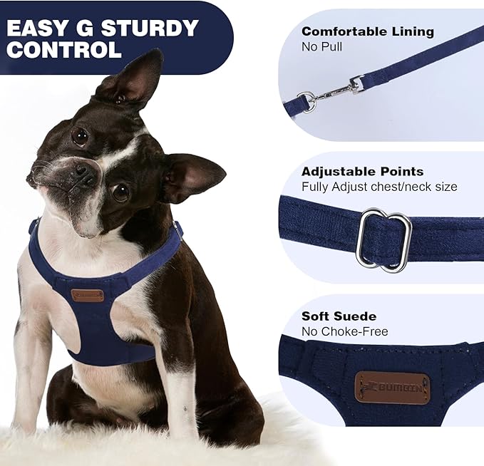 Dog Harness and Leash Set, XS No Pull Adjustable Puppy Harness with Multifunction Denim Blue Dog Leash and Collar, Soft No Choke Escape Proof Pet Harness Vest for Small Dogs and Cats (Denim Blue, XS)