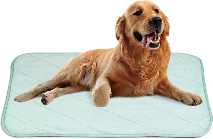 NWK Fluffy Self Warming Cat Mat, Cat Blanket, Thermal Dog Mat, Washable, Non-Slip Bottom for Sofa & Crate & Kennel & Car Seat (Mint Green, Large (35'' X 23'' X 0.4''))
