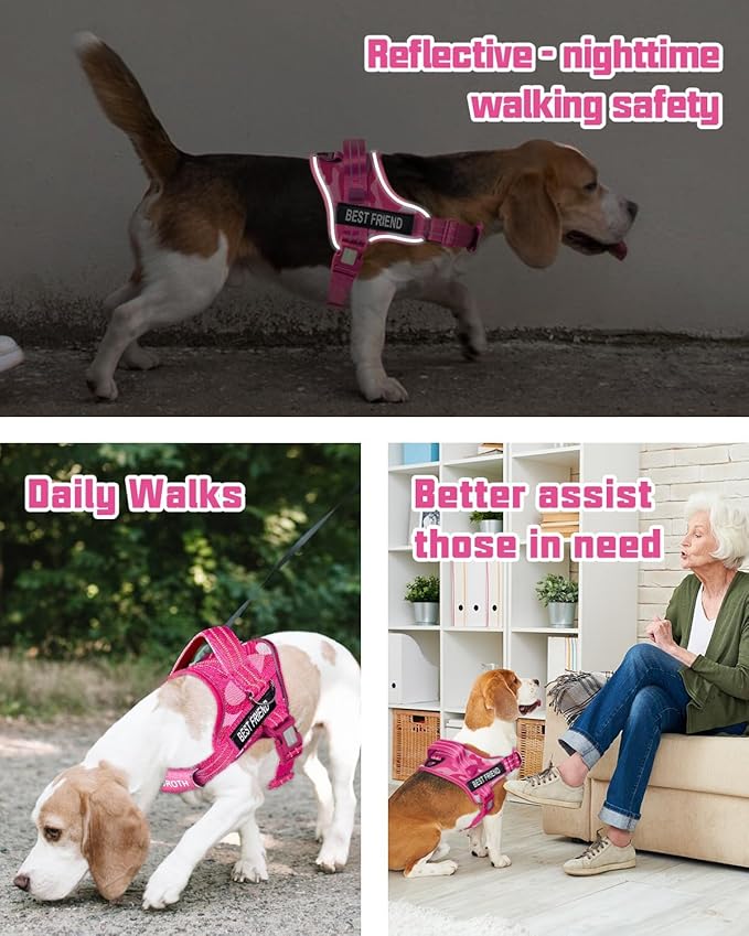 AUROTH Dog Harness and Leash Set, Soft Padded Service Dog Vest with 5.25FT Dog Leash, No Choke, Easy On Pet Vest, Adjustable Reflective No Pull Pet Vest Medium Sized Dog, Easy Walking and Training