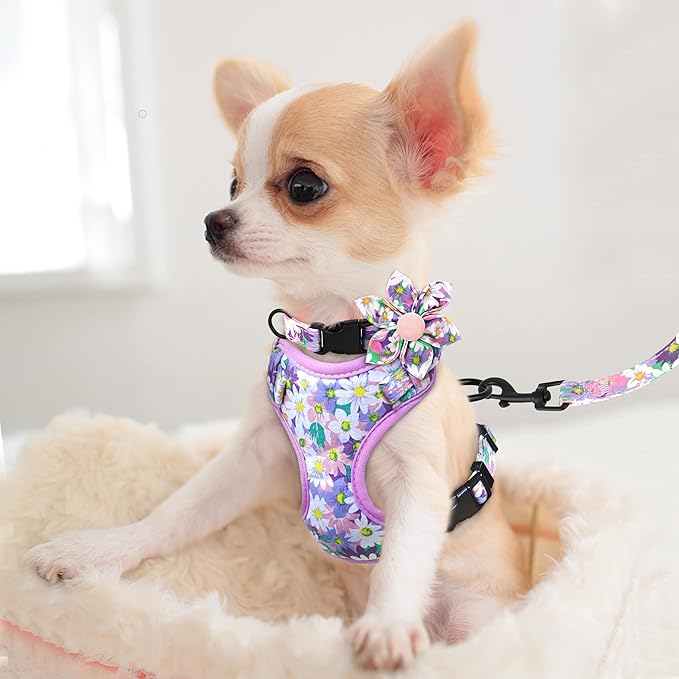 Beirui Cute Girl Dog Collars, Harnesses & Leashes Set - Adjustable Dog Collar and Leash Set with Flower - Soft Mesh Dog Vest Harness for Puppies Small & Extra Small Dogs Cats (Purple,XXS)
