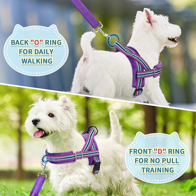 SlowTon No Pull Small Dog Harness and Leash Set, Puppy Soft Vest Harness Neck & Chest Adjustable, Reflective Lightweight Harness & Anti-Twist Pet Lead Combo for Small Medium Dogs (PU-Front Clip, XS)