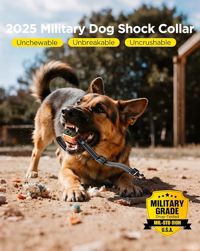 BLACKDOG Dog Training Collar, 4200ft Armor-Proof Dog Shock Collar with Remote, IP67 Waterproof Dog E Collar with 4 Training Modes & Night Vision Dual-Light for All Breeds 5-150lbs (Orange)