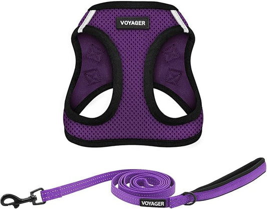 Voyager Step-in Air All Weather Mesh Harness and Reflective Dog 5 ft Leash Combo with Neoprene Handle, for Small, Medium and Large Breed Puppies by Best Pet Supplies - Purple/Black Trim, X-Small
