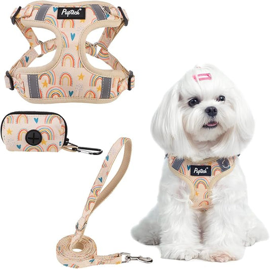 PUPTECK Dog Harness and Leash Set Small Sized, Step in No Pull Adjustable Puppy Cat Harness Reflective Pet Vest