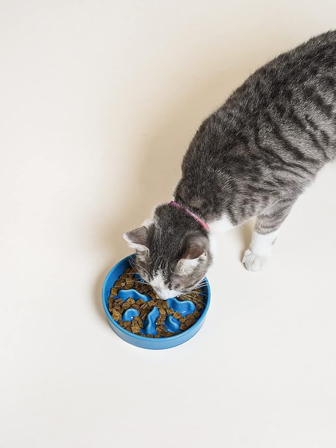Ceramic Slow Feeder Dog Bowls Small Breed, 0.5 Cups Dog Food Dish for Fast Eaters, Puzzle Bowl for Small Dogs and Cats, 5.5 Inch-Blue