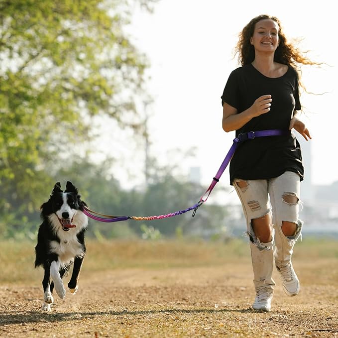 Roses&Poetry Hands Free Dog Leash for Medium Large Dogs Heavy Duty, No Pull Bungee Dog Running Waist Leash for Walking Training with Car Seatbelt 4-6FT