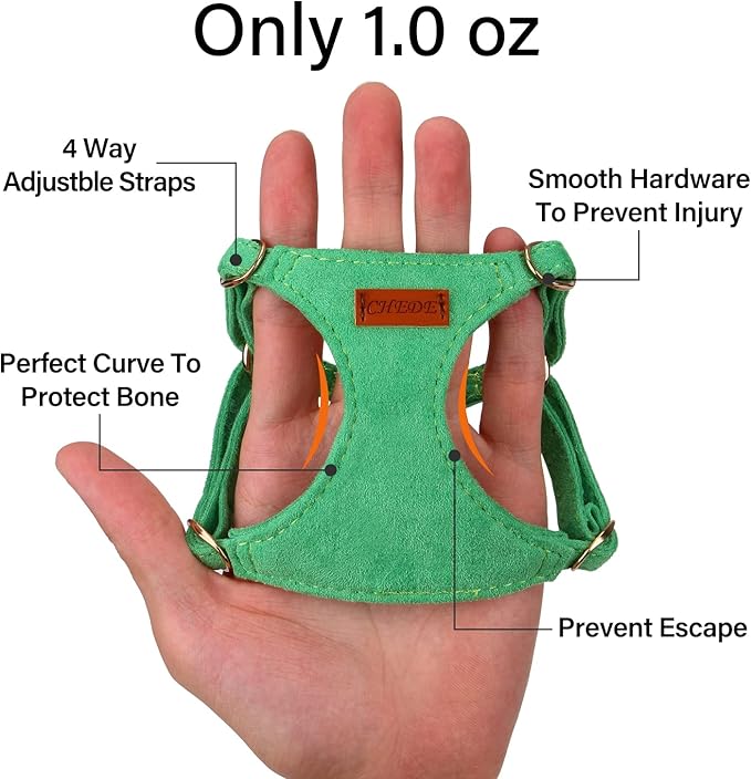 CHEDE No Pull Puppy Harness and Multifunction Dog Leash Set- 8 Colors Soft Adjustable No Choke Escape Proof Cute,Lightweight Pet Vest Harness for Small and Medium Dog (XXS, Green)