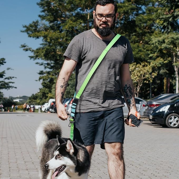 Roses&Poetry Hands Free Dog Leash for Medium Large Dogs Heavy Duty, No Pull Bungee Dog Running Waist Leash for Walking Training with Car Seatbelt 4-6FT