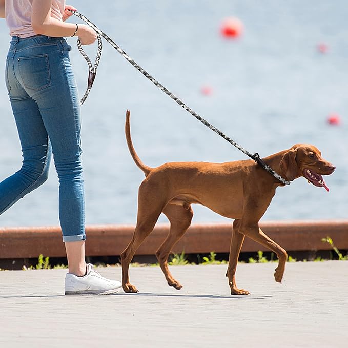 TwoEar Dog Slip Rope Leash - 6FT Heavy Duty Training Leash with Reflective Threads for Small to Large Dogs (Slim 3/8''x6ft, Grey)
