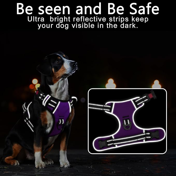 Timos Dog Harness Small Sized, No Pull with Neck Lockable Snap,No Choke Front Clip Dog Reflective Harness,Adjustable Metal Rings 3 Buckles,Easy Control Handle for Small Dogs Purple S