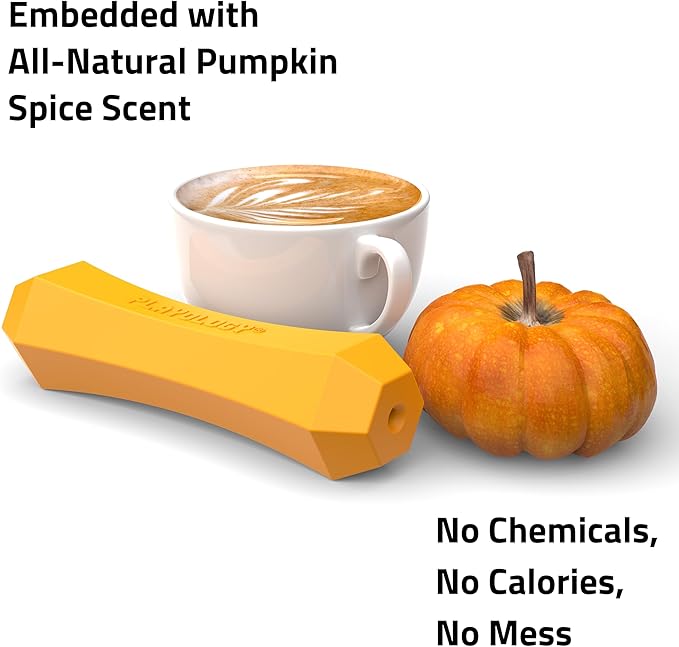 Playology Dog Toys | Durable Squeaky Chew Stick for Dogs | Medium Pumpkin Spice Scented Toy - Easy to Clean and Made from Non Toxic Materials