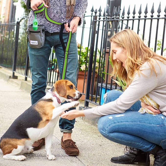 JSXD Heavy Duty Double Handle Dog Leash - 5 FT with Comfortable Padded and Reflective Rope, for Small to Large Dogs (Wide-Green)