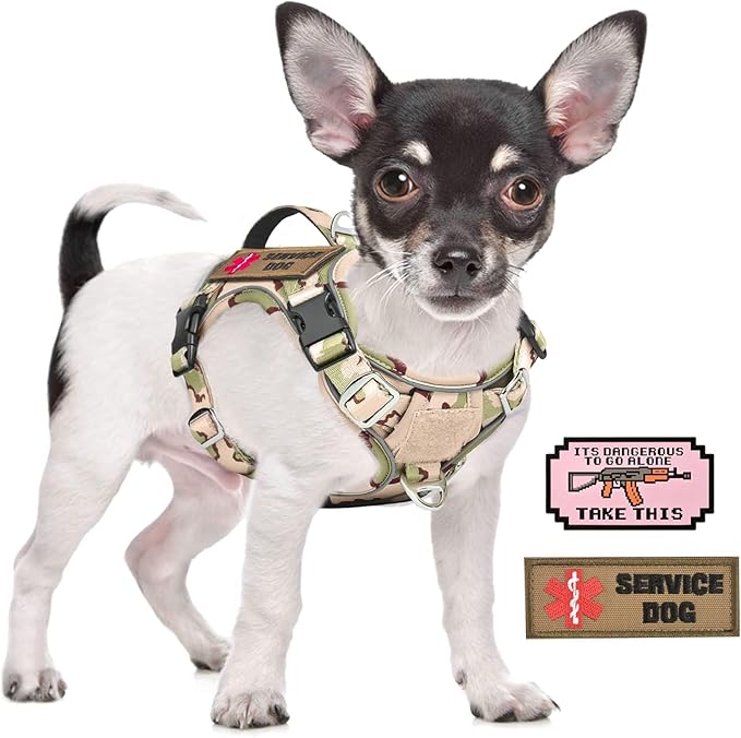 Tactical Small Dog Harness for Puppy, No Pull Military Service Dog Vest with Vertical Handle, Outdoor Training Small Puppy Vest Chihuahua Harness (Desert Green, XS)