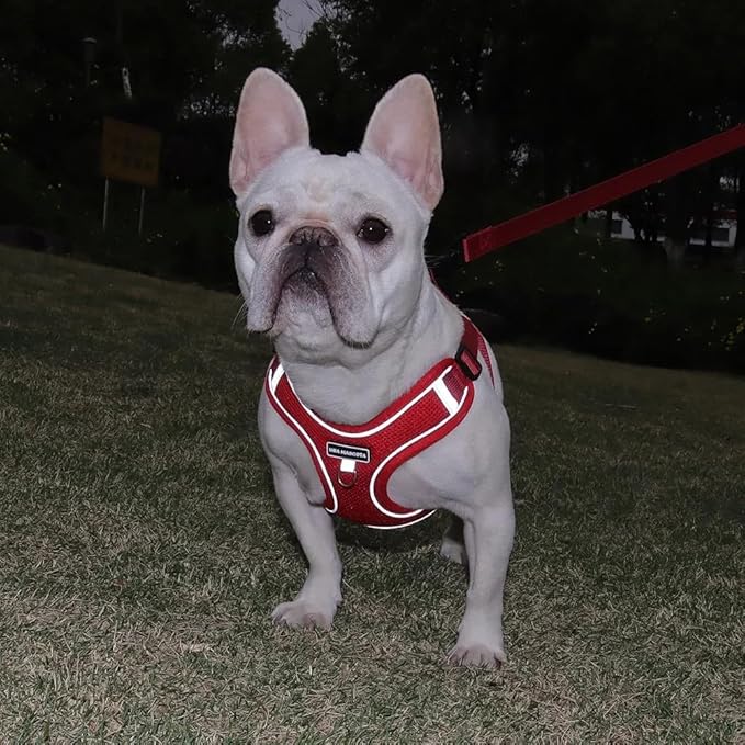 Dog Harness and Leash Set, Adjustable Triangle, Reflective Adjustable Puppy Vest, No Pull Soft Mesh Harness for Small, Medium Dogs, Cats (Red, S)