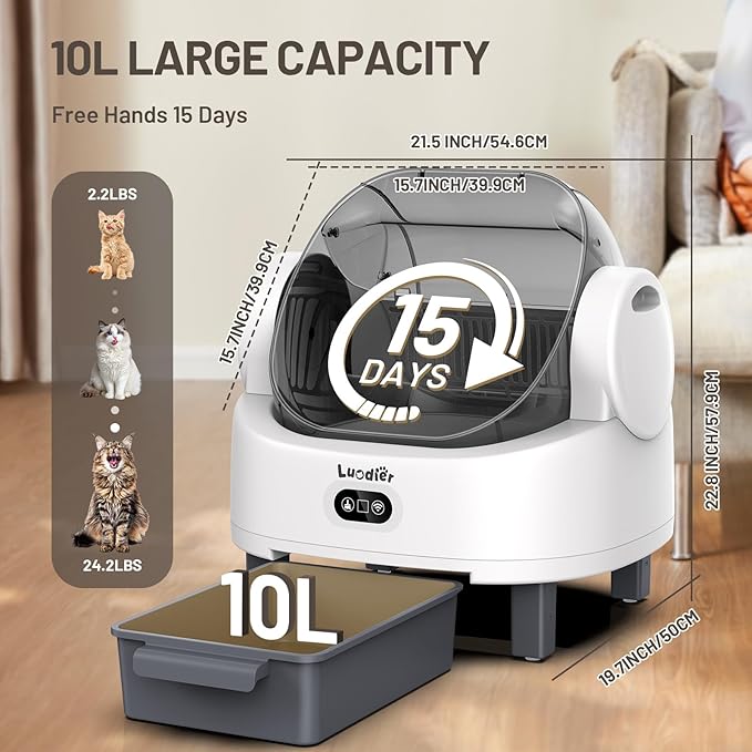 Self Cleaning Litter Box, Open-Top Large Automatic Cat Litter Box for Multiple Cats with Multiple Safety Sensor,APP Control, Odor-Free, Includes 1 Trash Bags 1 Litter Mat