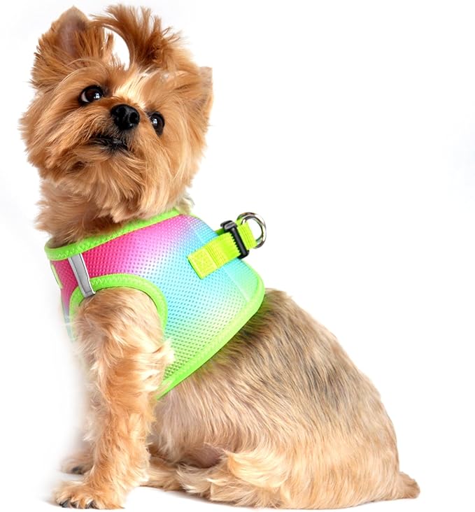American River Choke-Free Dog Harness - Rainbow Ombre
