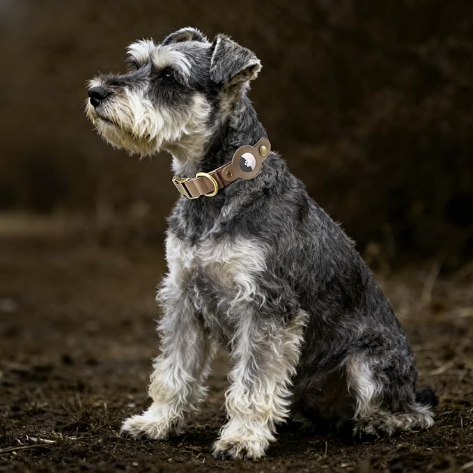 AirTag Dog Collar for Small Medium Large Dogs Puppy - Soft Leather Dog Collar with Apple AirTag Holder and Metal Buckle - Smart Tracker GPS Apple Air Tag Pet Collars (Brown, S)