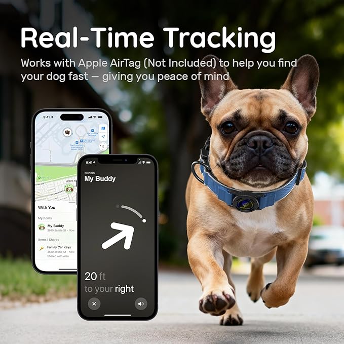 AirTag Dog Collar with QR Code ID & Waterproof Holder - Reflective, Durable Padded Oxford Collar Compatible with Apple AirTags for Small Puppy Dogs (Blue, S)