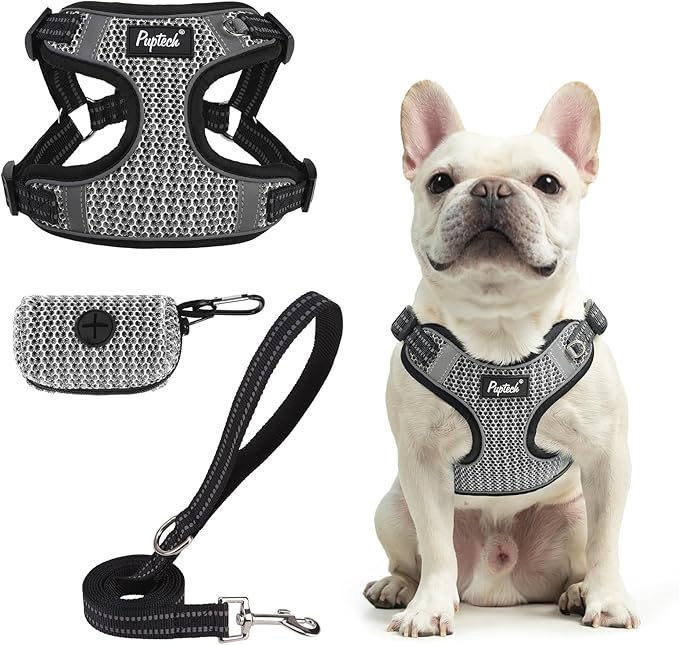 PUPTECK Dog Harness and Leash Set Medium Sized, Step in No Pull Adjustable Puppy Cat Harness Reflective Pet Vest