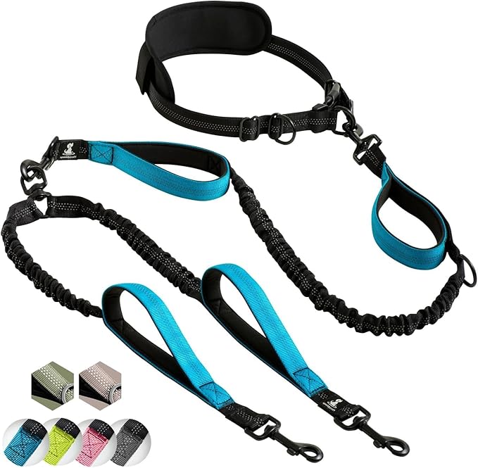 SparklyPets Hands Free Double Dog Leash – Dual Leash for Medium and Large Breeds – Lead for 2 Dogs with Padded Handles, Reflective Stitches, No Pull, Tangle Free