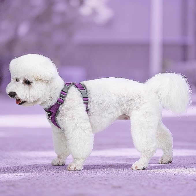 Small Dog Harness and Leash Set，No Pull Adjustable Pet Harness for Small Dogs ，Breathable Mesh Reflective Dog Vest Harness (Purple, XXS)