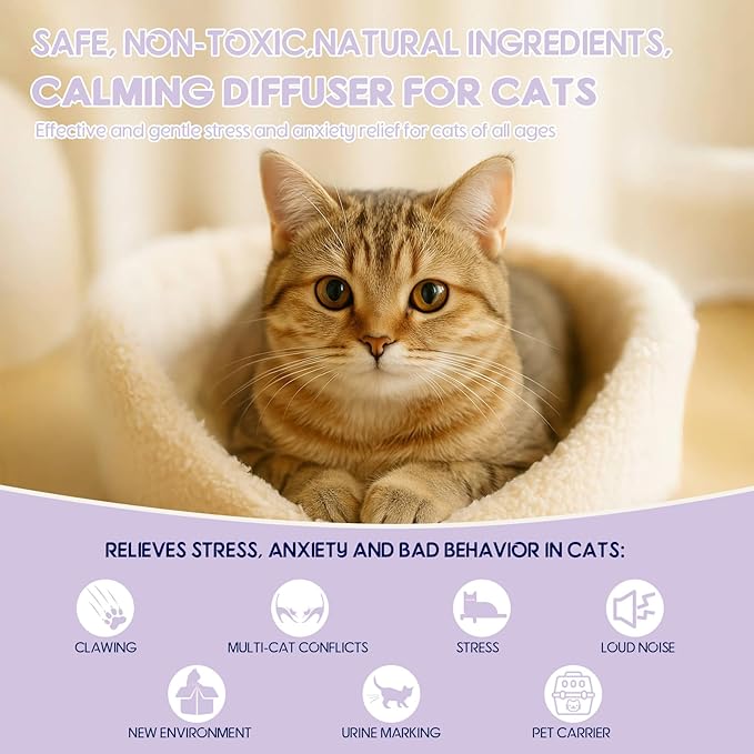 80S Cat Calming Diffuser Kit – Cat Pheromones Calming Liquid, Cat Pheromones Diffuser, 30 Days Continuous Stress & Anxiety Relief, Perfect for Multi-Cat Households, Fits All Common Diffuser Plug in