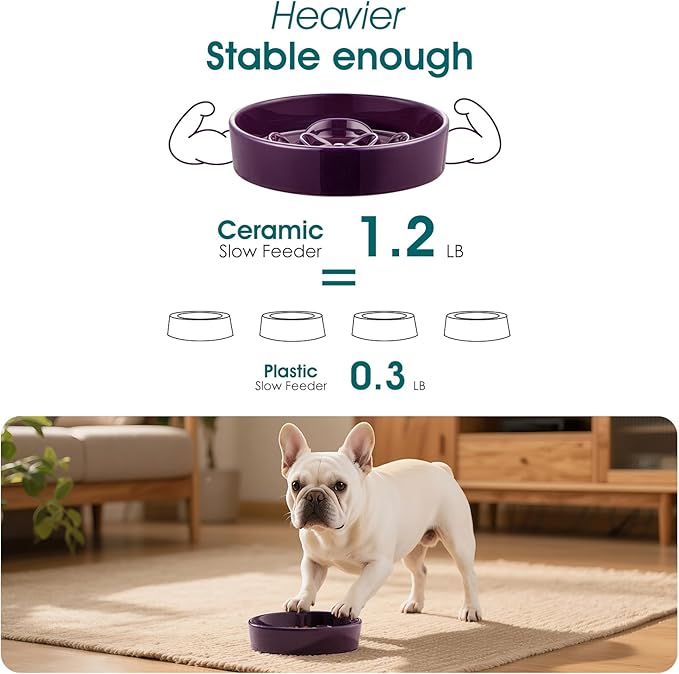 vancasso Slow Feeder Dog Bowl, 0.6 Cups Ceramic Dog Food Dish for Fast Eaters Small Breed, Puzzle Bowl for Small Dogs and Cats, Dark Purple