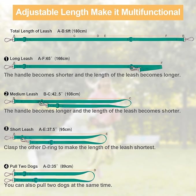 Wisedog Waterproof Dog Leash – 5ft/6ft Adjustable with 2 Metal Swivel Hooks, Easy to Clean Dog Leashes for Small, Medium, Large Breed Dogs (Emerald Green,L)