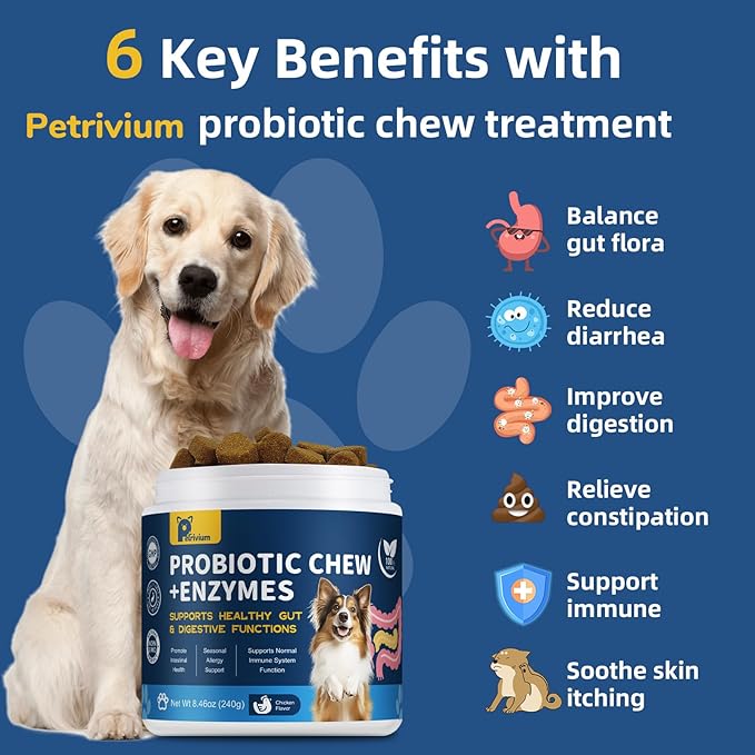 Probiotics for Dogs with Enzymes & Fiber Blend Supports Gut Health, Yeast Balance, Allergies, Itchy Skin, Boost Immune - Natural Probiotic Supplement for Digestive, Diarrhea, Gas, Constipation,120Ct