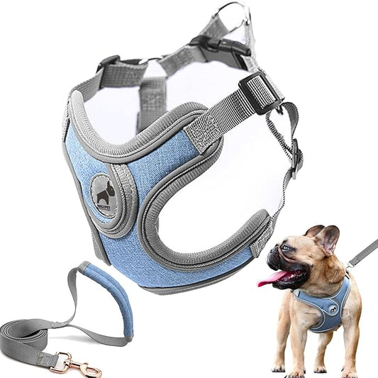 Dog Harness with Leash Set, No Pull Adjustable Step in Collars Harness with Breathable Padded Vest for Small Medium Large Dogs Training and Running(S, Blue)