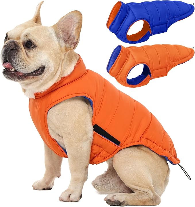QBLEEV Reversible Dog Coat for Small Dogs, Waterproof Windproof Winter Jacket Keeps Small Breeds Warm & Dry, Lightweight Adjustable Puffer Vest with Leash Hole, Orange, XS – Fits Chihuahua, Yorkie