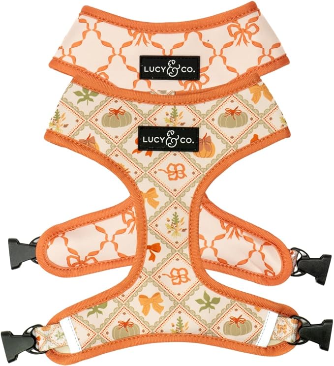 Lucy & Co. Cute Reversible Dog Harness Walking Halter - Best Designer Pet Harnesses for XS - XL Dogs - Padded Adjustable Vest for Easy Walking-Medium-Orange Cream Pumpkin