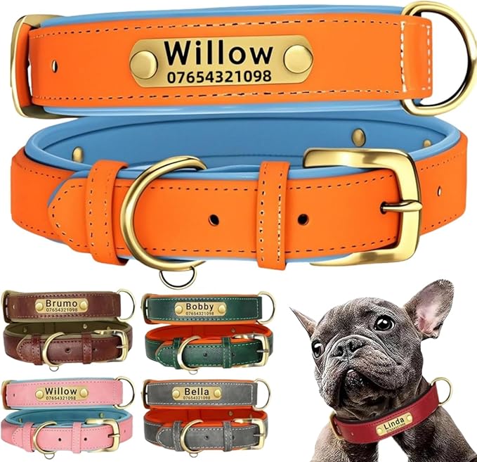 Leather Dog Collar Personalised and Leash Set, Personalized with Soft Padded Design Heavy Duty Featuring Custom Engraved Name Plate for Small Medium and Large Dogs