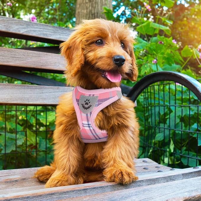 PUPTECK Adjustable Dog Harness Collar and Leash Set Step in No Pull Pet Harness for Small Medium Dogs Puppy and Cats Outdoor Walking Running, Soft Mesh Padded Reflective Vest Harnesses, Pink XS