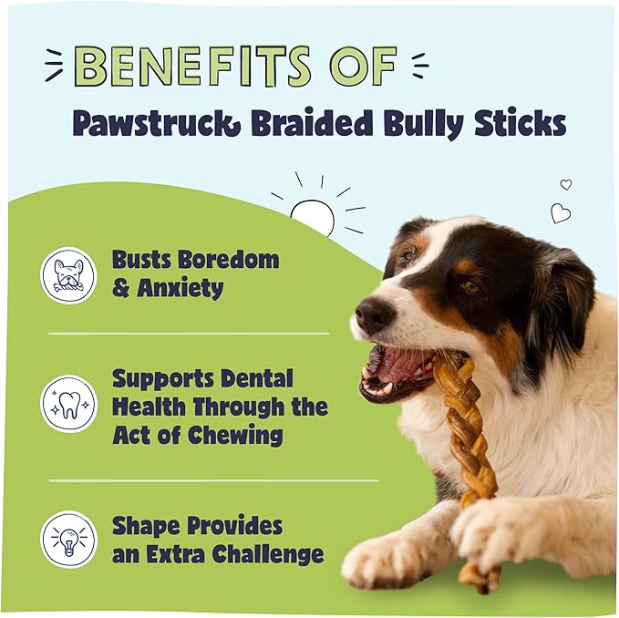 Pawstruck Natural 9” Braided Bully Sticks for Dogs - Tough, Long-Lasting, Rawhide-Free, Low Odor, Healthy Single Ingredient Chew Treat for Aggressive Chewers - 25 Count - Packaging May Vary