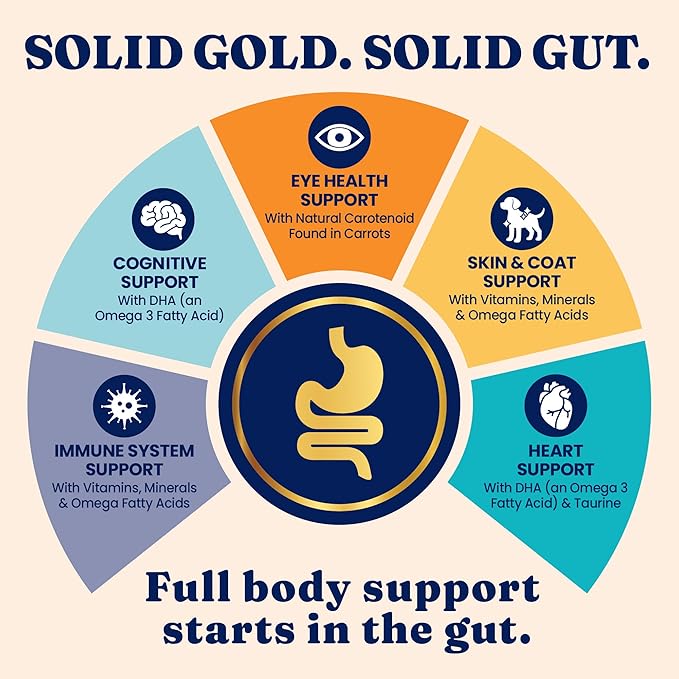 Solid Gold Sensitive Stomach Dry Cat Food - Grain Free & Gluten Free Sensitive Stomach Cat Food for Indoor Adult & Senior Cats - Dry Kibble for Cats w/Quail, Pumpkin & Probiotics for Gut Health - 6lb