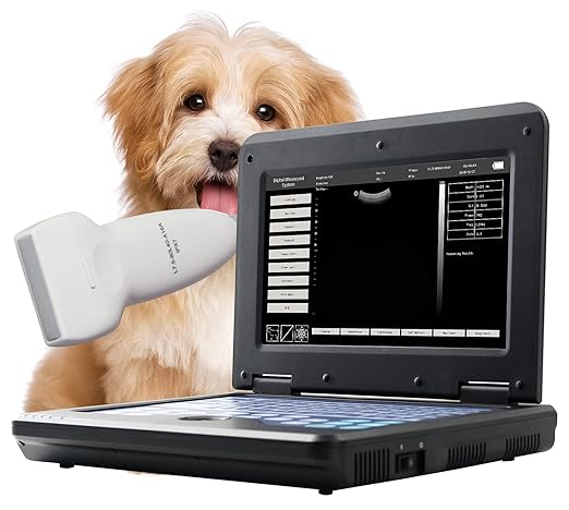 CONTEC Portable Veterinary Ultrasound Scanner for Pregnancy Check On Animals Snake Dog Cat Rabbit with Linear Probe