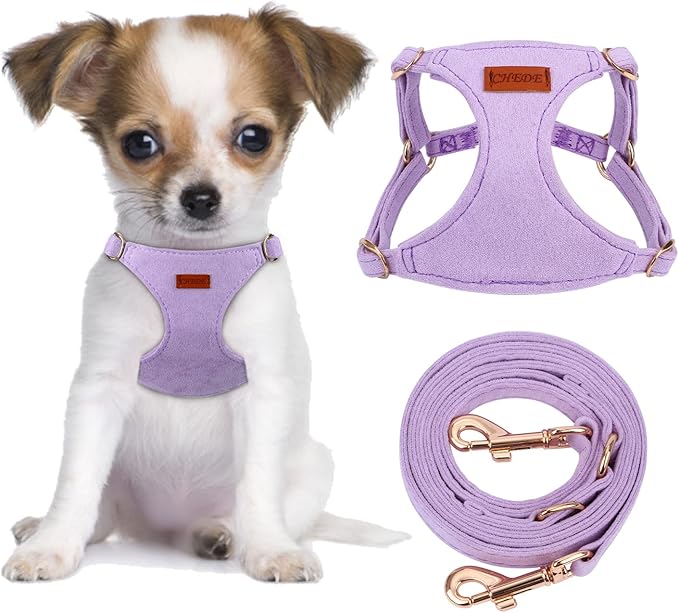 CHEDE No Pull Puppy Harness and Multifunction Dog Leash Set- 8 Colors Soft Adjustable No Choke Escape Proof Cute,Lightweight Pet Vest Harness for Small and Medium Dog (XS, Purple)