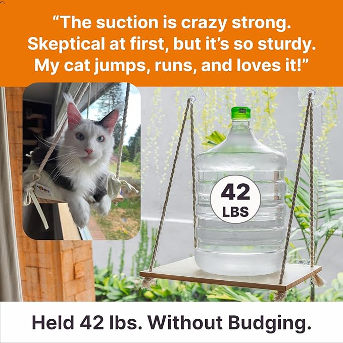 Cat Window Perch with Industrial-Grade Suction Cups - Solid Pine Wood Hammock Bed, Soft Cushion - 42 lb Capacity for Cats Inside