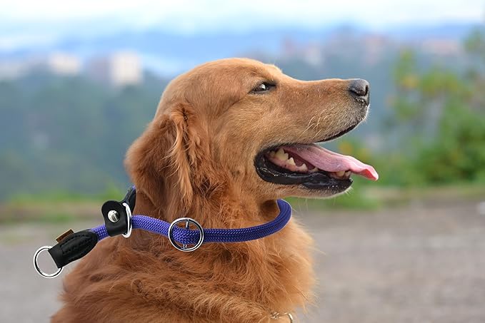 Braided Round Martingale Dog Collar, Training Collar with Slidable Stop Ring and Adjustable Stopper - Ideal for Large Dogs (L(1/2") - 20" Long, Purple)