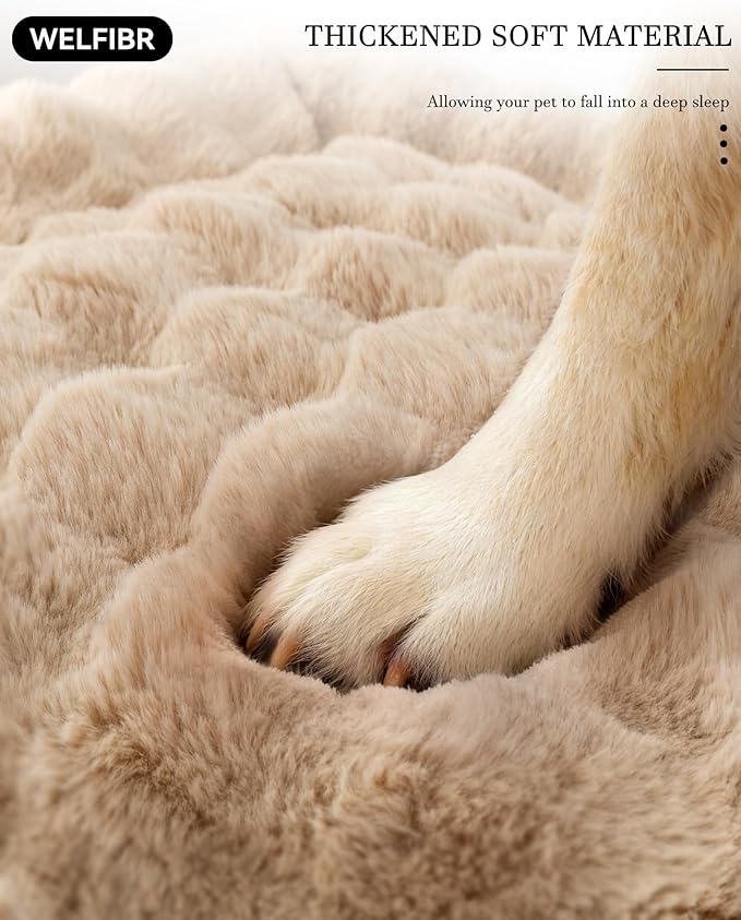 48" Dog Couch Bed for Large Dogs, Orthopedic Dog Sofa with Thick Supportive Foam, Washable Removable Cover, Furniture-Style Pet Bed for Living Room